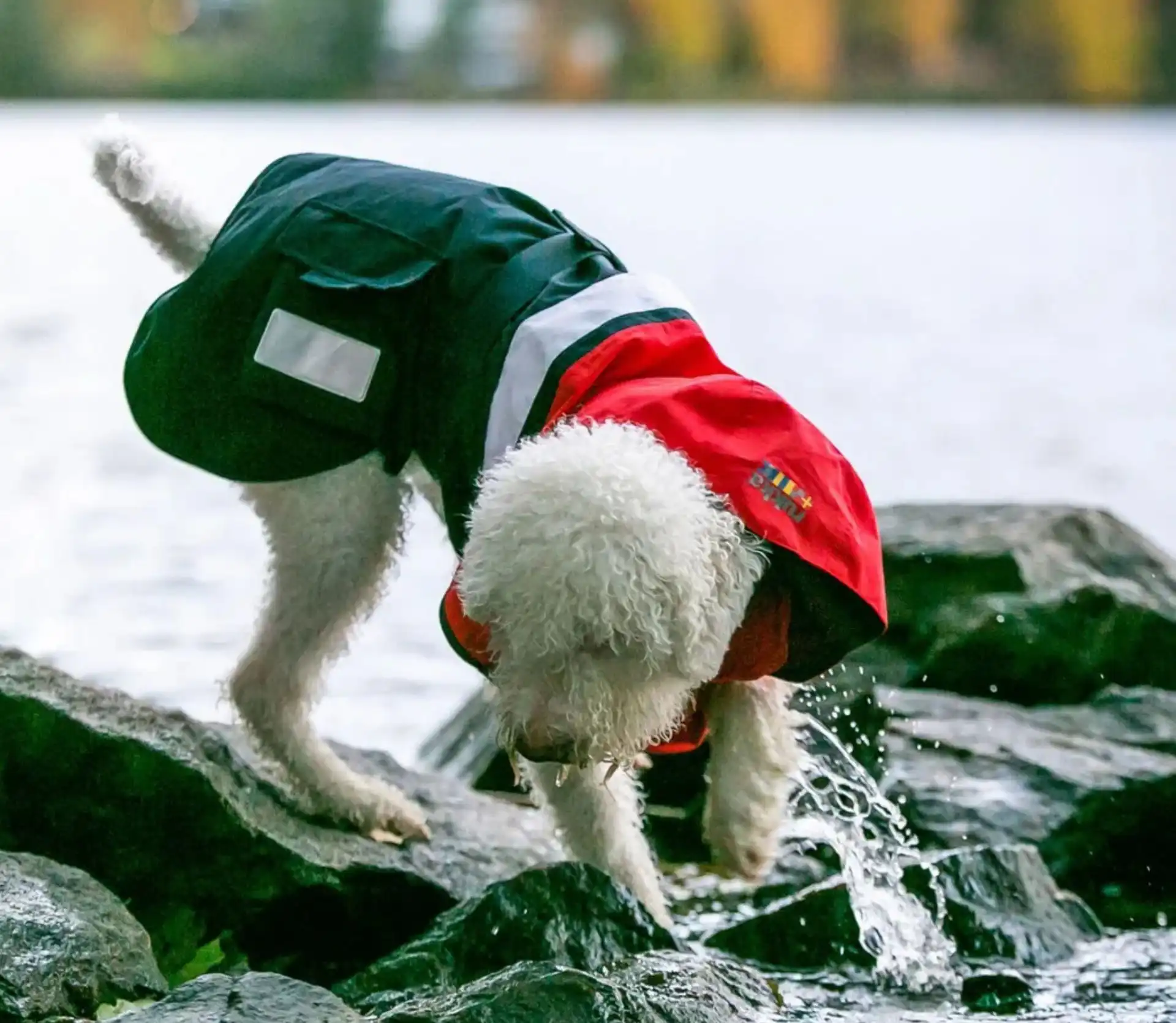 Rukka Pets Regenmantel Wavy